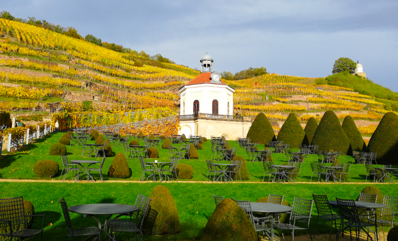 Blick von Wackerbarth zum Weinberg
