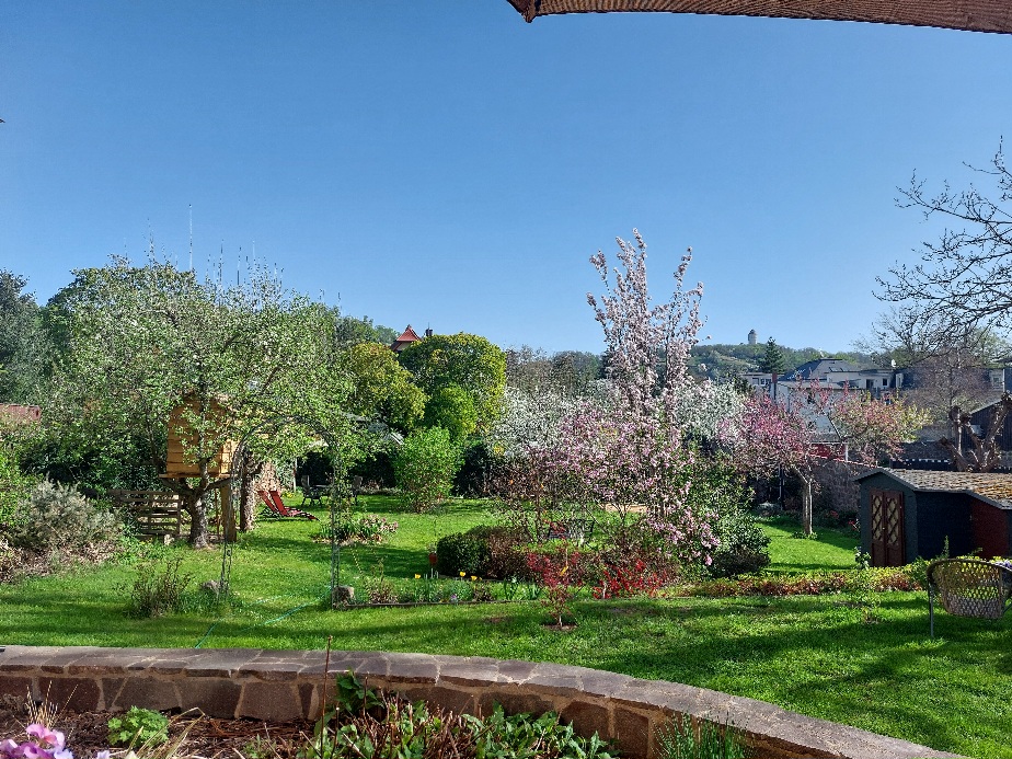 Blick Garten Frühling