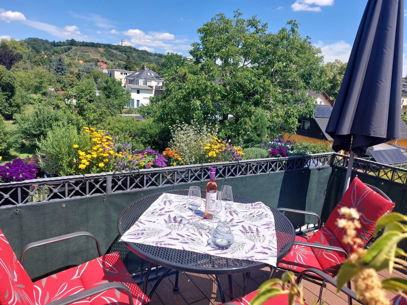 Blick vom Balkon über den Garten zu den Weinbergen